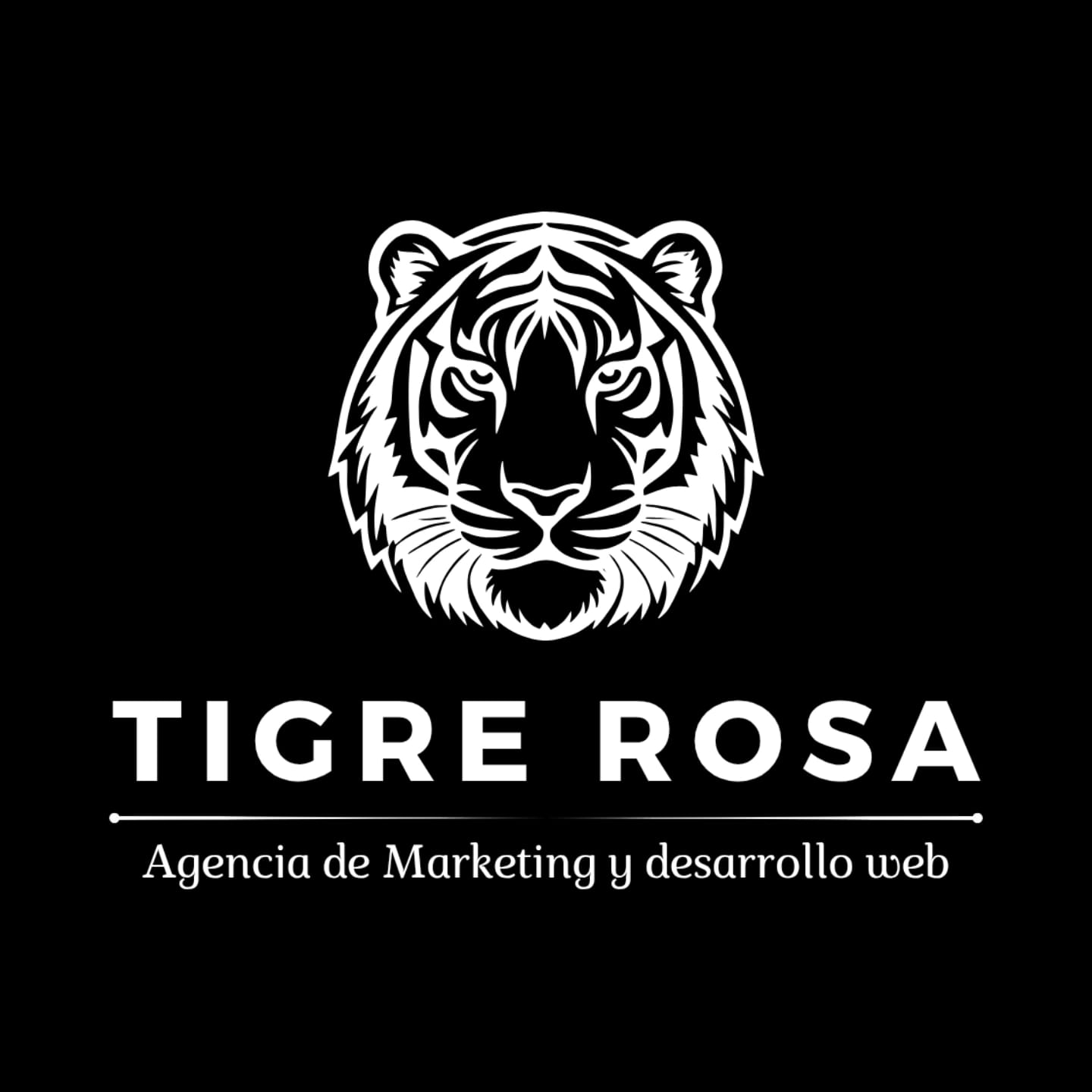 whatsapp image 2026 04 03 at 23.25.31